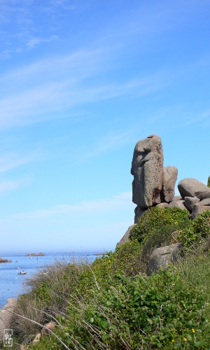 Rocks like a moai - Rochers comme un moaï