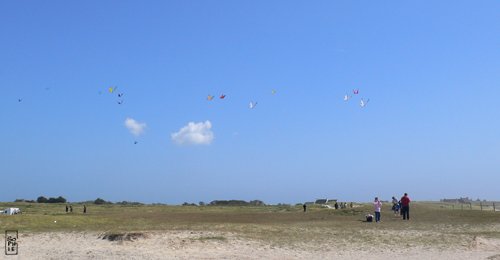 Kites - Cerfs-volants