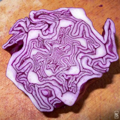 Red cabbage - Chou rouge
