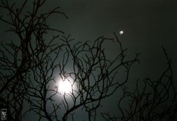 Moon - Lune