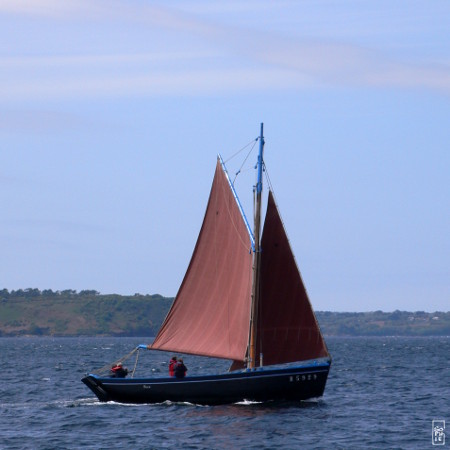 Bergère de Domrémy sailing - Bergère de Domrémy en train de naviguer