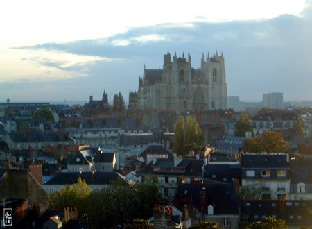 Cathedral - Cathédrale