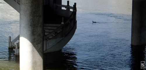 Flooded staircase - Escalier inondé