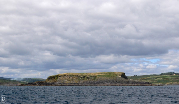 Rabbit island